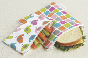 Two colorful thermal zippered pouches for a healthy sandwich and vegetable sticks.
