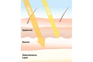 An illustration showing the difference between UVA and UVB sun rays on skin.